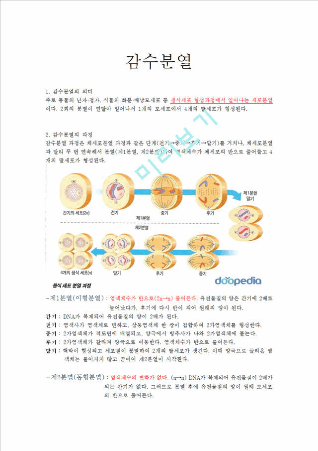 [의학,약학] 세포 분열과 감수 분열의 차이점.hwp